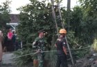 Gercep Babinsa, Koramil 0804/13 Bendo Bersama Bpbd Magetan Evakuasi Penyelamatan Hewan Kambing Terperosok Kedalam Sumur
