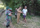Babinsa Koramil 13 Bendo Bersama PPL Dampingi Pensurveian Lahan Oplah